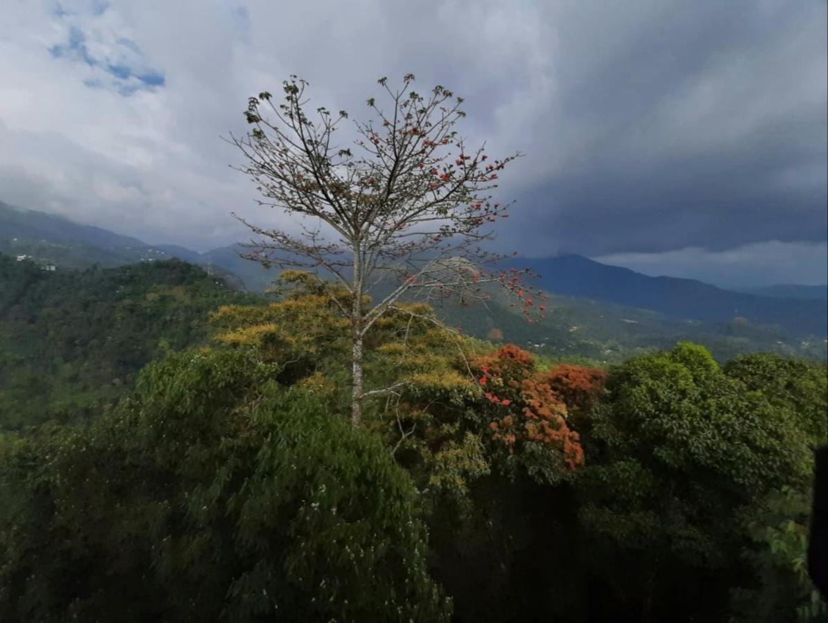 Palmtree Leaf, Munnar Ξενοδοχείο Εξωτερικό φωτογραφία